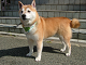 DSCF9314[1]_thumb.png